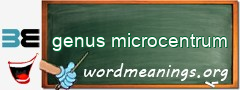 WordMeaning blackboard for genus microcentrum